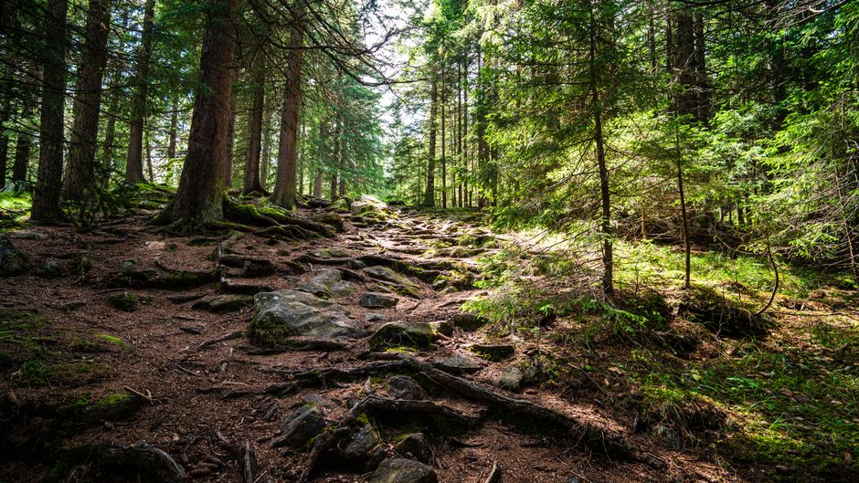 Caring For Your Overall Health: Making It Part of Your Day
