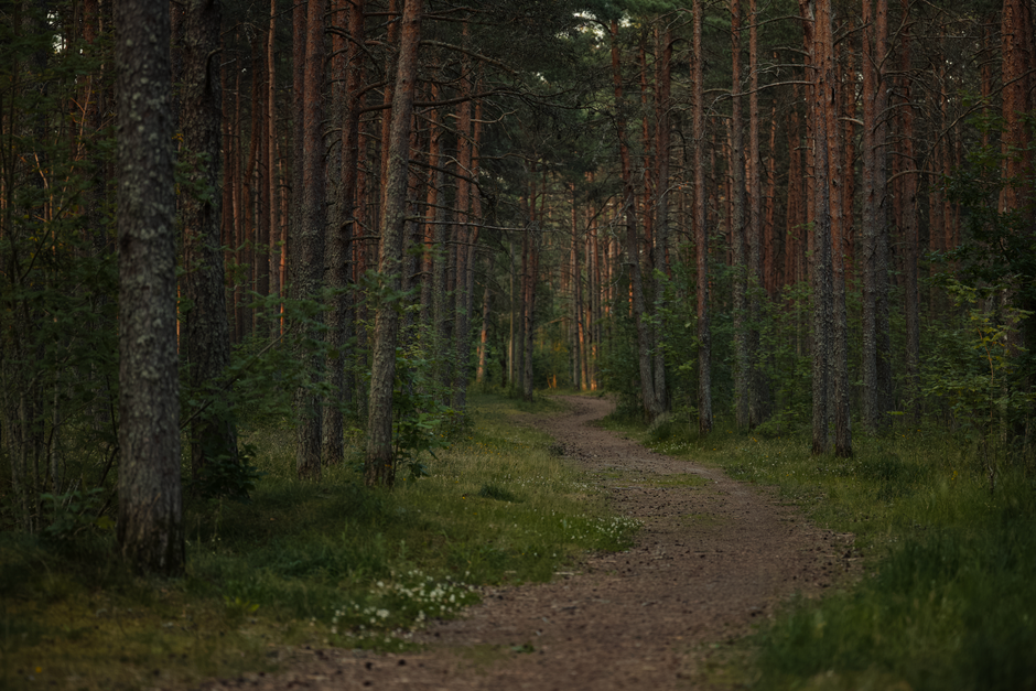 The Truth About A Balanced Approach To Wellness